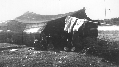 Beduin-Tent.gif - 77467 Bytes