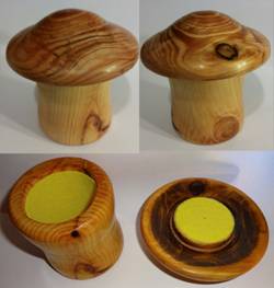 Mushroom Box (Cypress).jpg