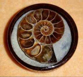 Ammonite Locket.jpg